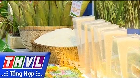 THVL | Hội nghị “Giải pháp phát triển bền vững ngành hàng lúa gạo vùng ĐBSCL”