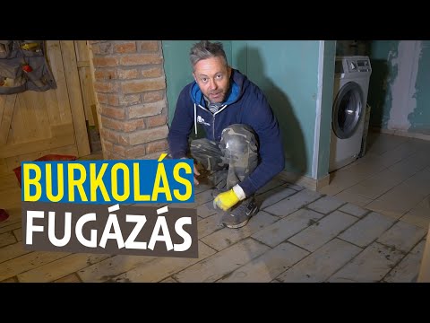 Videó: A talajtakaró növények a burkolók között: A legjobb növények a burkolólapokon belül