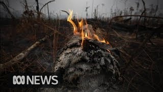 Brazil calls in 44,000 troops to fight Amazon fires after international pressure | ABC News