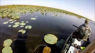 ОХОТА НА УТКУ.ОТКРЫТИЕ ОХОТЫ ПО ПЕРУ НА РАСКАТАХ 2017. ОХОТА НА УТКУ.ОТКРЫТИЕ ОХОТЫ ПО ПЕРУ НА РАСКАТАХ 2017.