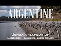 33  ushuaa  expdition manchots baleines et lions de mer avec paludine exp