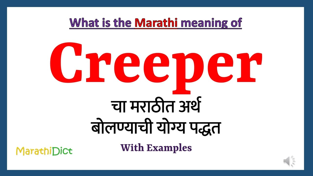 Creeper Meaning in Marathi, Creeper म्हणजे काय, Creeper in Marathi  Dictionary