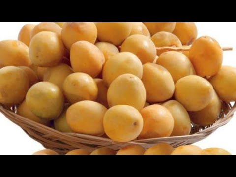 اهم فوائد التمر البلح او البرحي