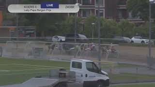 Vidéo de la course PMU LADY PAPA BERGEN PRIJS