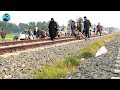 Train Horn Prank On Cute Grial! Horror Prank Zone Vol