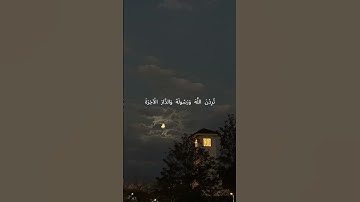 سورة الأحزاب - محمد صديق المنشاوي