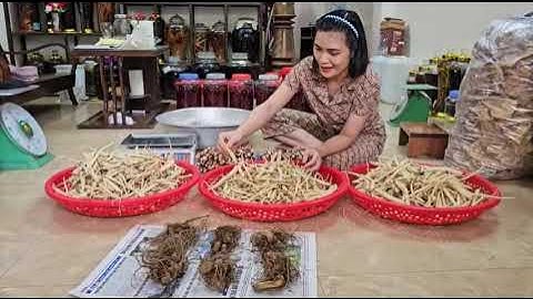 ĐẲNG SÂM RỪNG BỔ TỲ VỊ, MÓN QUÀ QUÝ CHO SỨC KHỎE. 20/7/2025