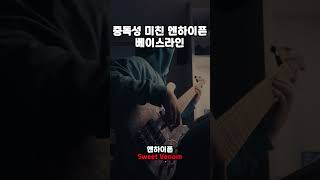 매력적인 엔하이픈 노래의 베이스라인 "Sweet Venom"｜bass cover 가야 Gaaya