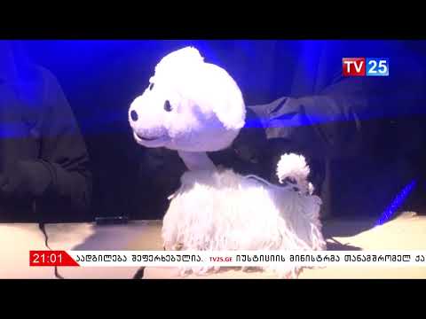 „თოვლია“ - თოჯინების ტეატრის საპრემიერო ჩვენება