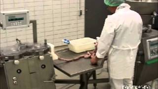 Vemag Robby LPV802 Sausage Linker & TM203 Cutter