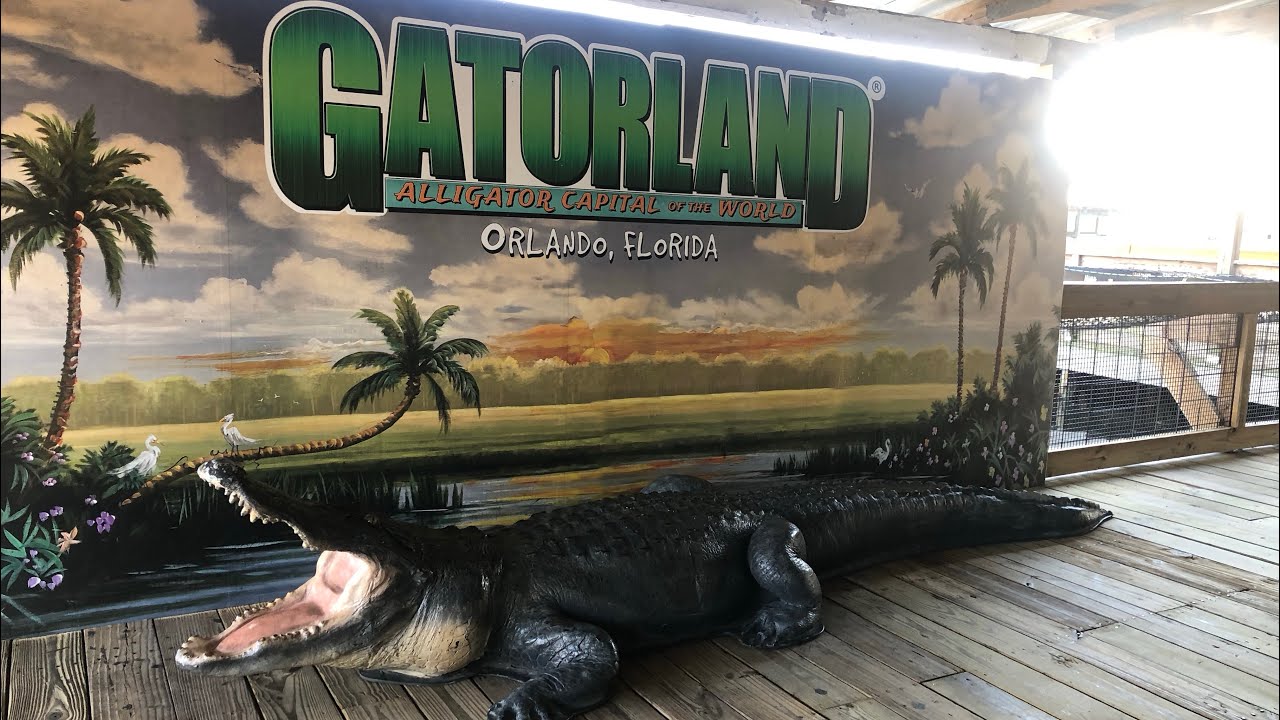 Alligator Show @ GatorLand, Orlando, Florida