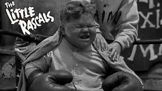 Famous Little Rascals Shorts | "Boxing Gloves" | FULL EPISODE | Slapstick Comedy, Golden Hollywood Profile