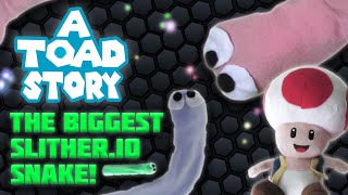 A Toad Story: The Biggest Slither.io Snake