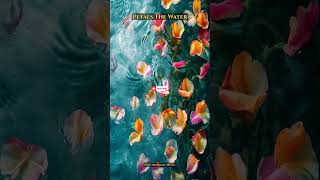 Petals The Water | Background Music | SoundFX | No Copyright