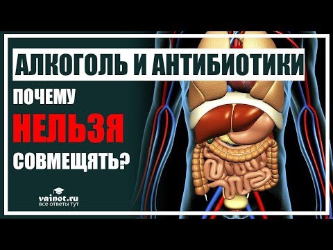 Почему НЕЛЬЗЯ совмещать алкоголь и антибиотики?
