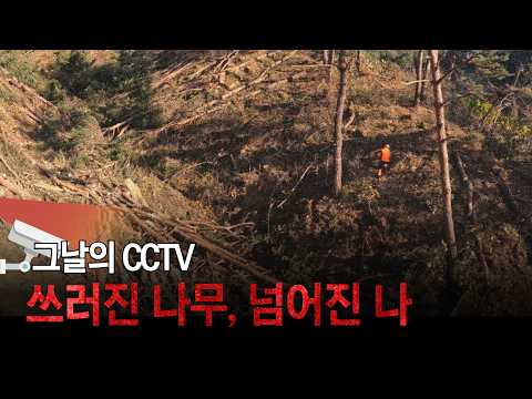 [CCTV of the Day] The Fallen Tree, The Fallen Worker | A Lesson on Forestry Safety: Escape Routes...