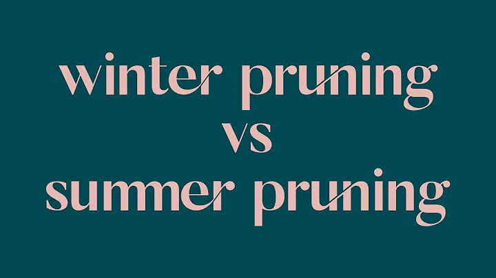 ✂️❄️☀️ WINTER PRUNING vs SUMMER PRUNING - What, Why, How & When - STRUCTURAL HEALTH & MANAGING VIGOR