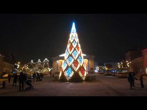 Christmas Tree On The Town Hall Square Vilnius Lithuania December 2020