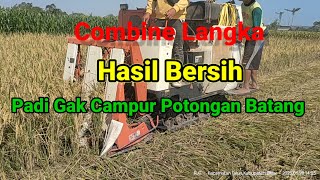 combine langka di Indonesia