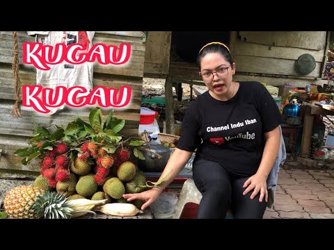 Video: Jiran Kebun