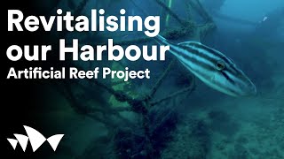 A new artificial reef helps to revitalise Sydney Harbour's biodiversity | Artificial Reef Project