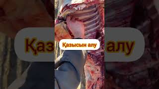 видео: жабағы сою #жылқы #youtubeshorts #2023 #anime #horse #ат #2024 #лайфхаки #годом #игры #дәстүр #казак картинка: жабағы сою #жылқы #youtubeshorts #2023 #anime #horse #ат #2024 #лайфхаки #годом #игры #дәстүр #казак