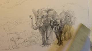 Рисунок слонов 8. Светотень. Эскиз к панно. Ускорено 4х