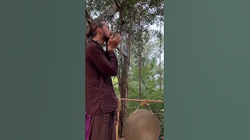 Thumbnail of Shamans