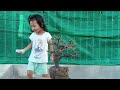 ( đã bán )M62. gl ae một cây cẩm thị. giá 150k .lh 0933648634
