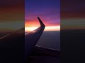 いつも隣に君が くまごろう IPhoneが作ってくれた映像 くまごろうのいる生活 いつも隣に君が くまごろう IPhoneが作ってくれた映像 くまごろうのいる生活