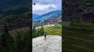 चीन की 5 अजीब खेती । 5 Bizarre Farming Practices in China