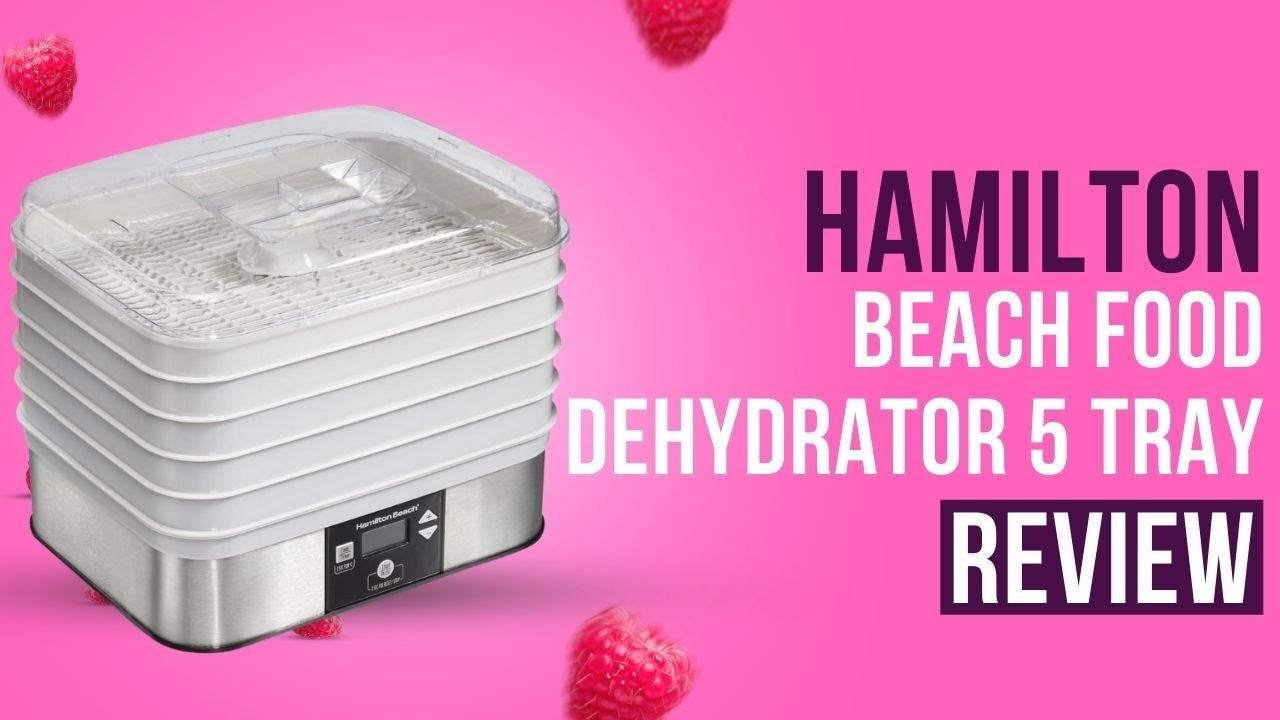  Hamilton Beach Digital Food Dehydrator for Fruit and Jerky,  Vegetables and More, 5 Trays, Adjustable Temperature, 48 Hour Timer + Auto  Shutoff, Grey (32100A): Home & Kitchen