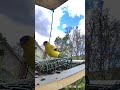 No Filter Beautiful Day Beautiful Bird 😍