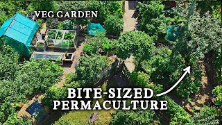 Потрясающий КРОШЕЧНЫЙ огородик пермакультуры на заднем дворе (с 30 фруктовыми деревьями!)