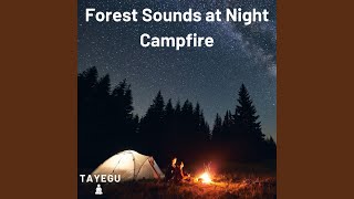 Download Lagu Forest Sounds at Night Campfire Camping Crickets, Frogs and Owls 1 Hour Relaxing Nature Ambient Yoga Meditation Sound For Sleep or Study Download Lagu Forest Sounds at Night Campfire Camping Crickets, Frogs and Owls 1 Hour Relaxing Nature Ambient Yoga Meditation Sound For Sleep or Study