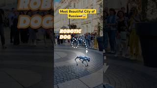 St. Petersburg Is Insane Russias Most Beautiful City Revealed