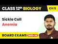 Sickle Cell Anemia - Principles of Inheritance and Variation | Class 12 Biology