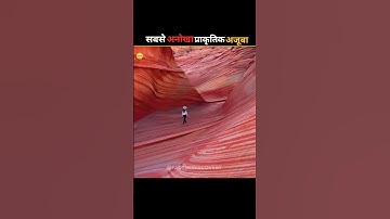 Mind-Blowing #facts 🔥 | #17