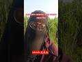 যেই জায়গা গুলো তো মিথ্যা বলবেন [  how to speaks false to where]