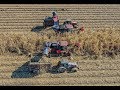 Riding Red! All Case IH Sugar Cane Harvest Drone/GoPro 4K