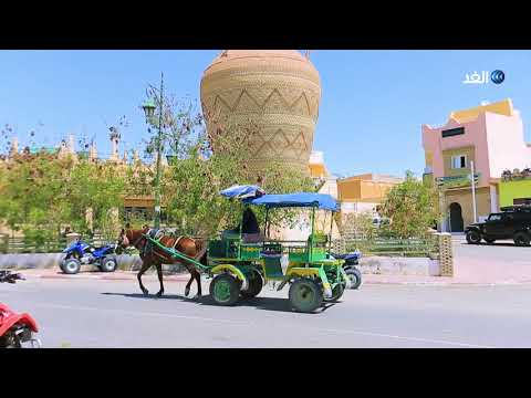 إبراهيم درغوثي واحة توزر جنة حقيقية وهذا هو عمرها تاريخيا قالت لي