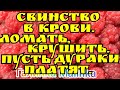 Колесниковы /Свинство в крови/Ломать, крушить/Пусть Дураки платят /Обзор Влогов /