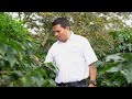 Construyendo Triunfos: Finca de Café Santa Emilia | Banco Atlántida