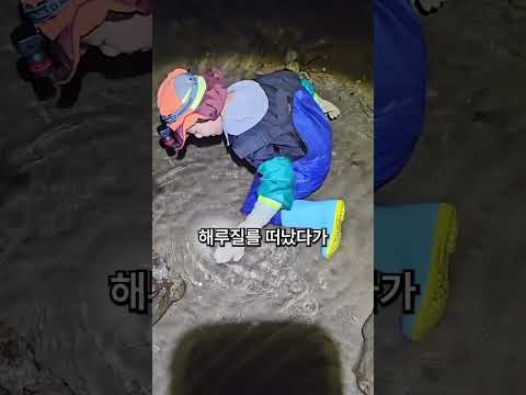 가을 <strong>꽃게</strong> 해루질 하러 가면 생기는 일