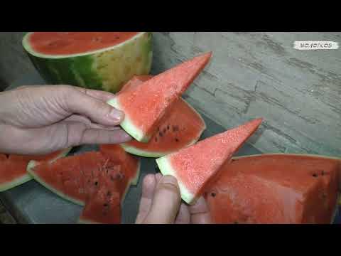 Как быстро нарезать арбуз без косточек