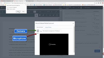 Grading Assignments and Providing Feedback in Speedgrader