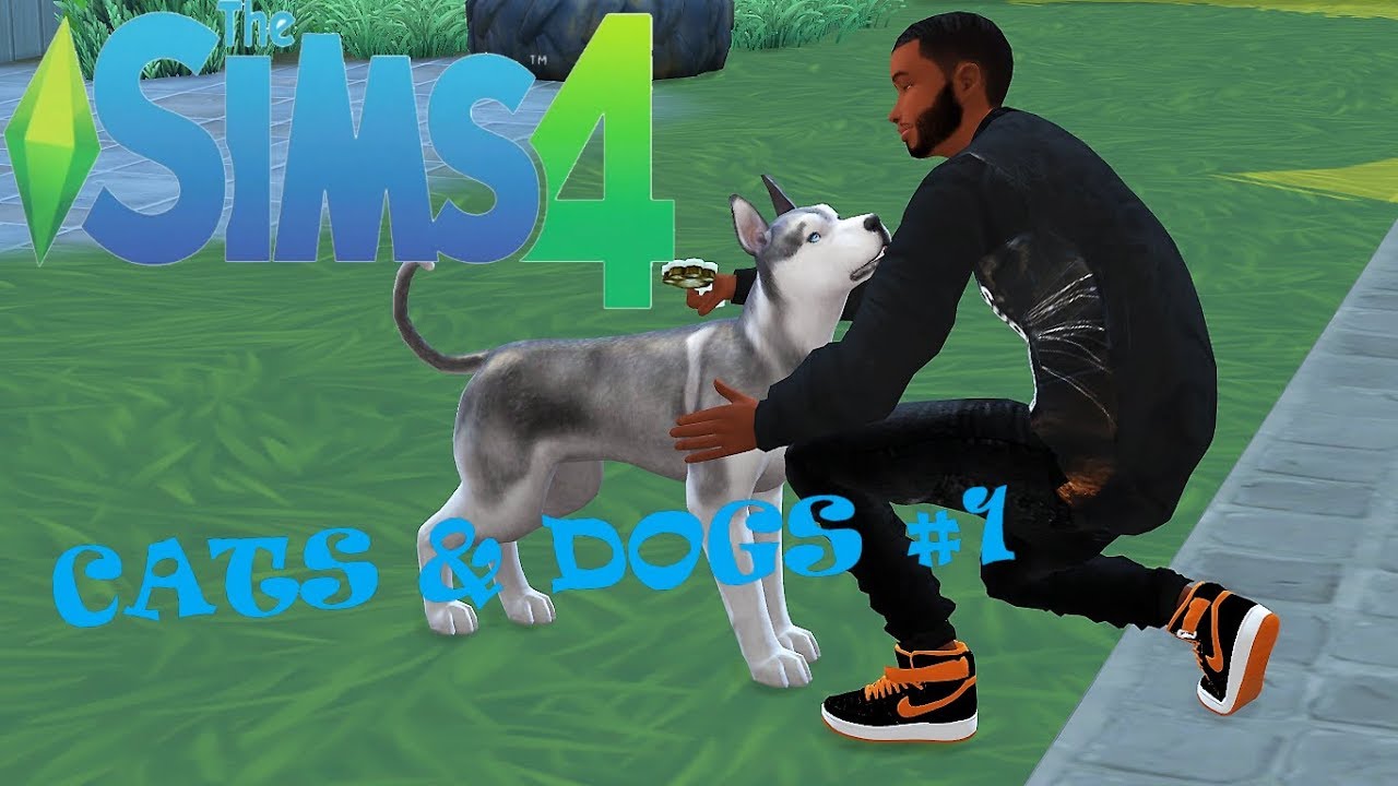 Lets Play The Sims 4 Playable Pet Mod Catsanddogs 1 Youtube