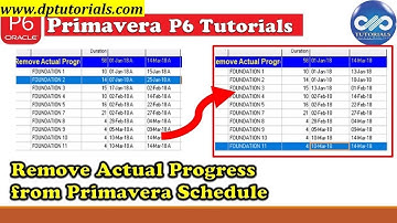 How To Remove Actual Progress From Primavera P6 Schedule || Primavera tutoring || dptutorials