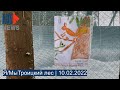 ⭕️ Я/МыТроицкий лес  | 10.02.2022