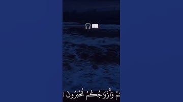 أكتب شيء تاجر عليه|قال تعالى: (ادْخُلُوا الْجَنَّةَ أَنْتُمْ ...) [سورة الزخرف 70-71] #محمد_اللحيدان